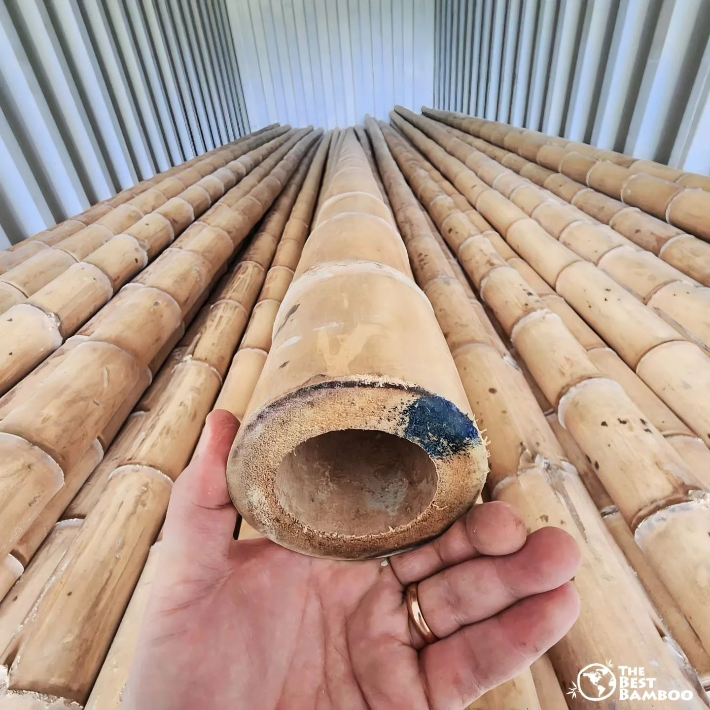 Products — The Best Bamboo